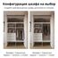 Шкаф купе С3_БАОБАБ103 (гардеробная в мастер-спальне), Высота: Низкий (Н 2080мм), изображение 4